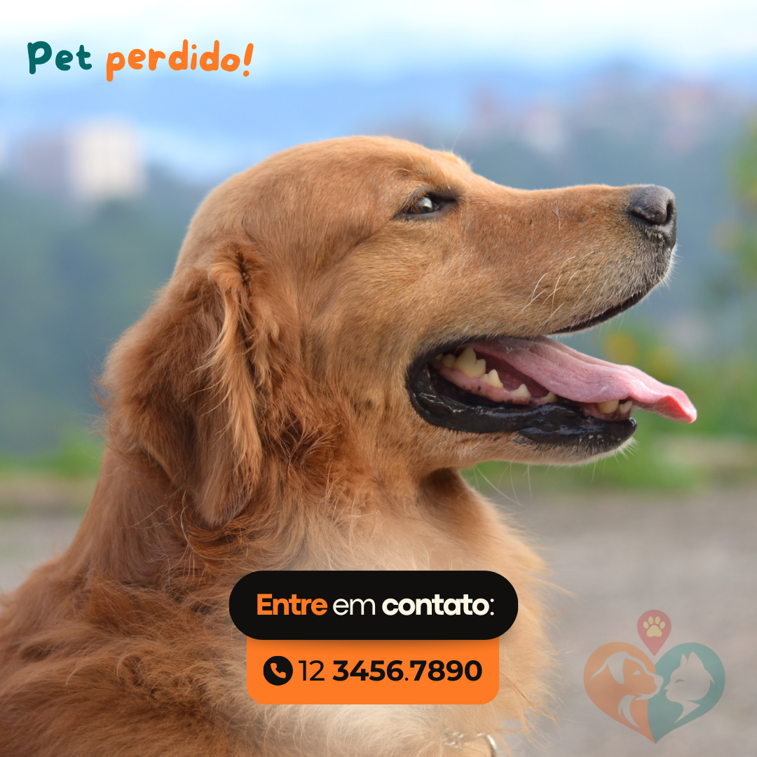 Post Instagram para pet shop divertido azul